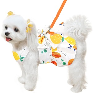 Haine animale de companie