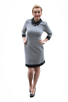 Rochie rafinata cu maneca peste cot,D&J Exclusive, Alb/Negru Rochie rafinata cu maneca peste cot,D&J Exclusive, Alb/Negru