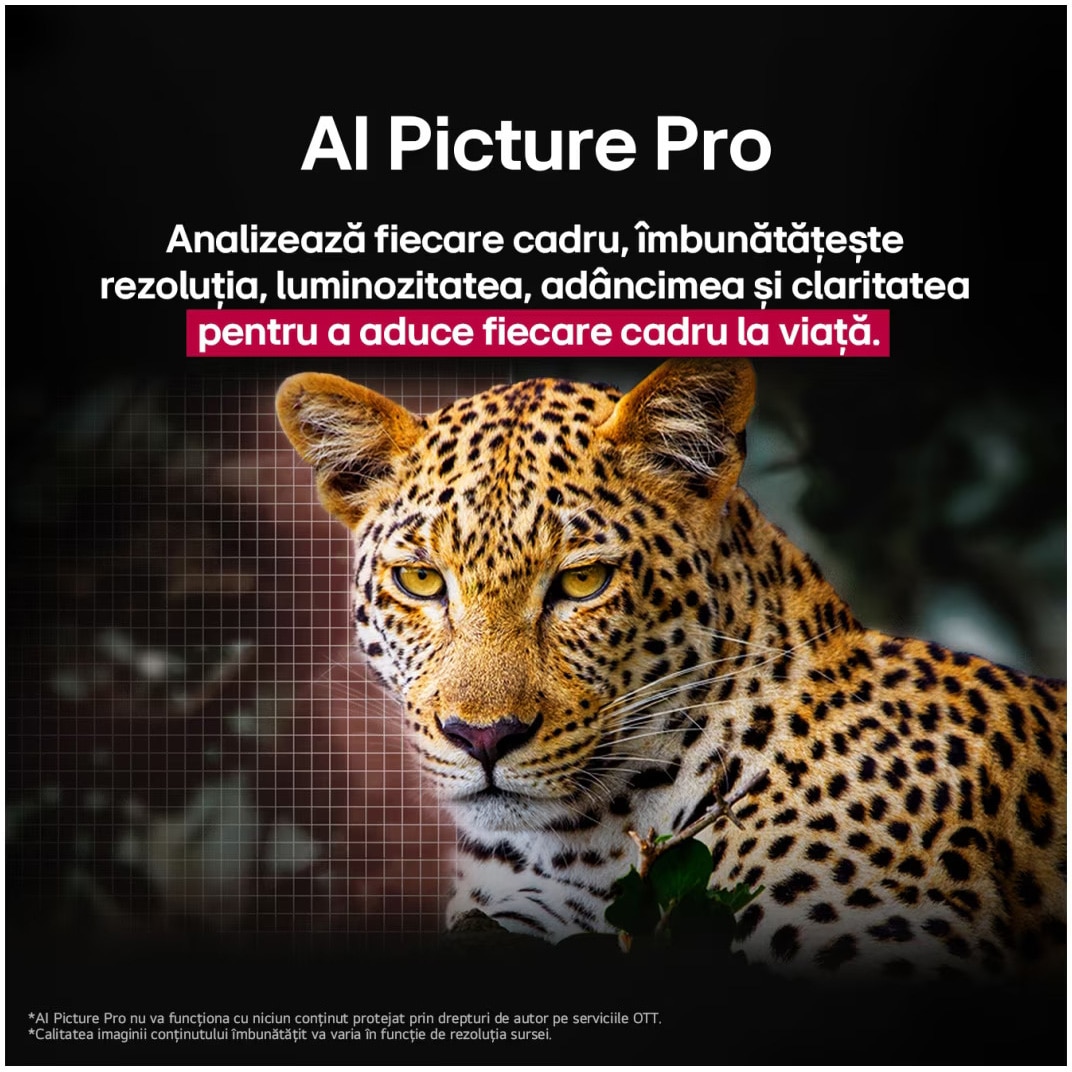 Televizor LG OLED evo 48G53LS, 121 cm, Smart, 4K Ultra HD, 100 Hz, Clasa F (Model 2025)