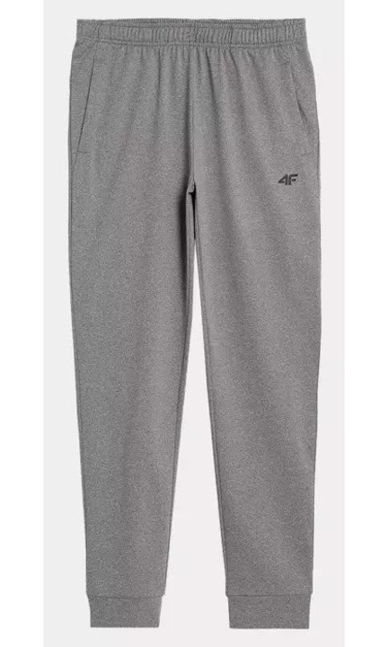 Férfi nadrág 4F, poliészter, szürke, S INTL