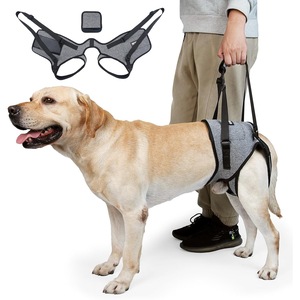 Accesorii mobilier si transport animale companie