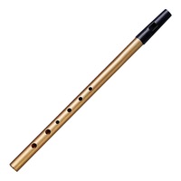 Fluier irlandez, portabil, usor de invatat, C/D, metalic, 16cm