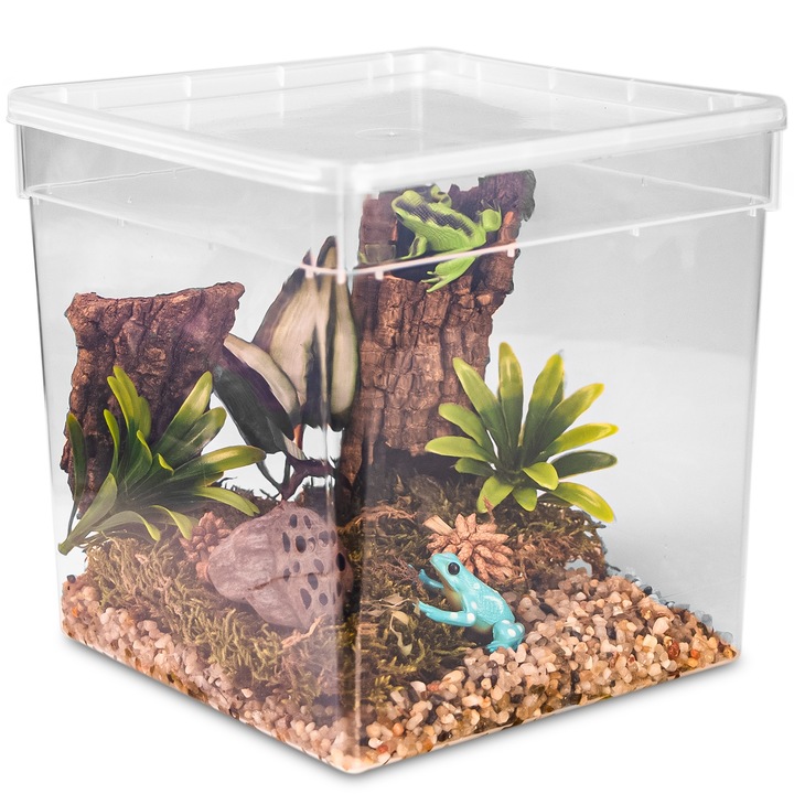 Faunárium terrárium, Terrario ReptiBox, átlátszó, hüllők és kétéltűek számára, műanyag, 19 x 19 x 19 cm