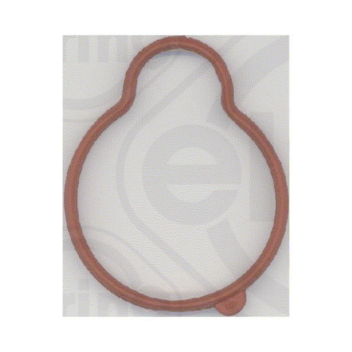 Garnitura, galerie de admisie ELRING 181.340