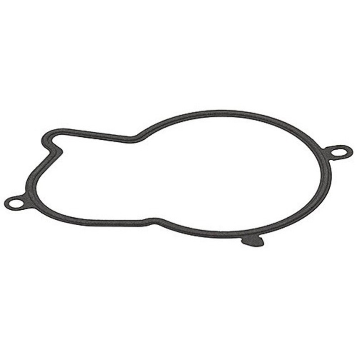 Tömítőgyűrű, befecskendező szivattyú ELRING 793.480