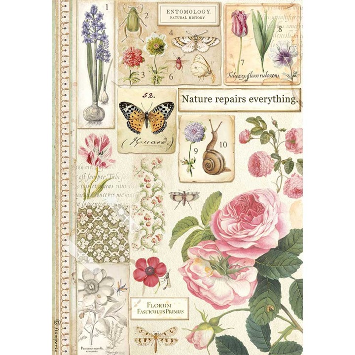 A4 rizspapír csomag - Botanika - DFSA4623