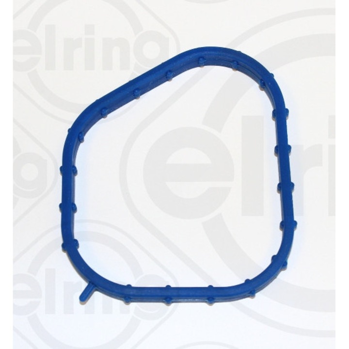 Garnitura, carcasa termostat ELRING 893.720