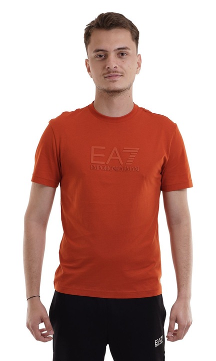 Мъжка тениска Emporio Armani EA7, 7M000224AF10375U3012
