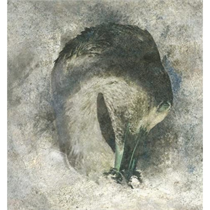 Suma: Ashes 20th Anniversary [CD]