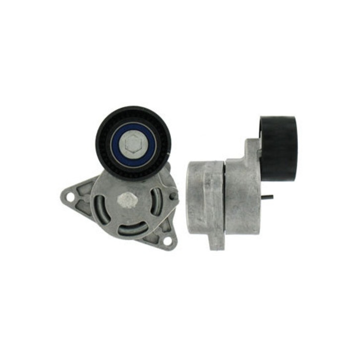 Hosszbordás szíj feszítő, SKF, OPEL MOVANO 2,5CDTI-hez, SKF, 60x31mm, automata