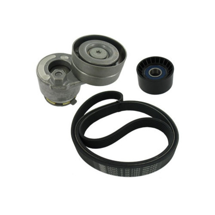 Töb bordás szíj készlet, SKF, RENAULT 1,9DCI/2,0 LAGUNA II-hez, 1792x21,36mm, EPDM