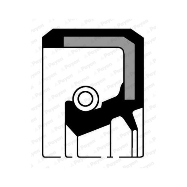 Inel de etansare arbore, diferential PAYEN NJ190