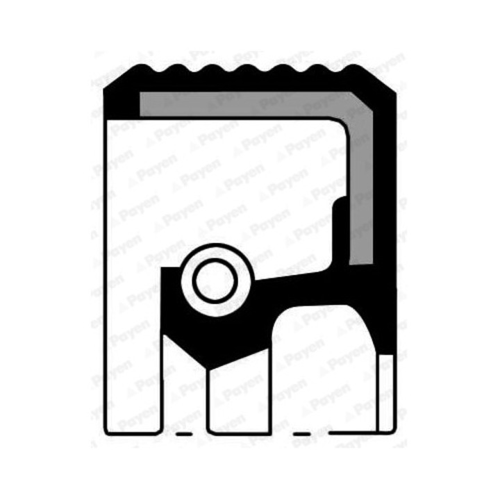 Inel de etansare a arborelui, arbore cu came PAYEN NA5035