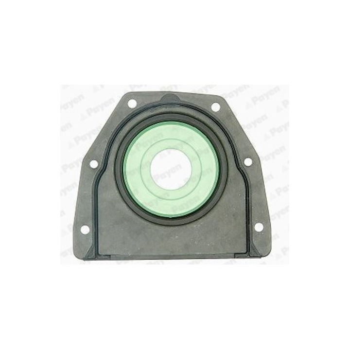 Inel de etansare arbore, arbore cotit PAYEN LK5004