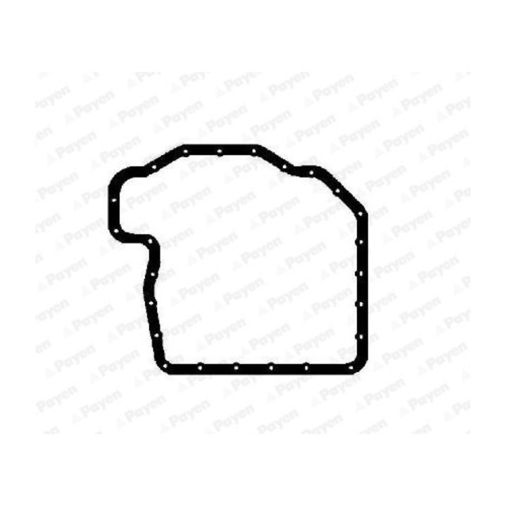 Garnitura, baie de ulei PAYEN JH5116