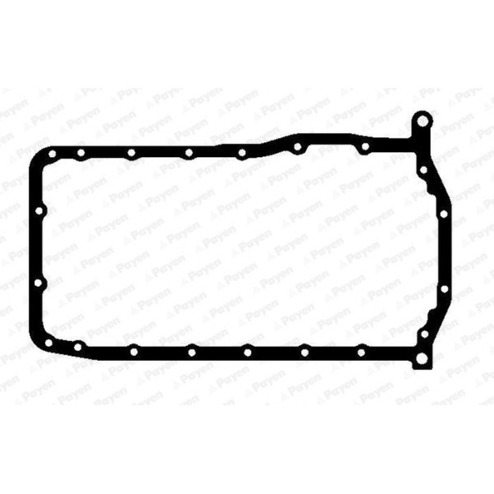 Garnitura, baie de ulei PAYEN JH5117