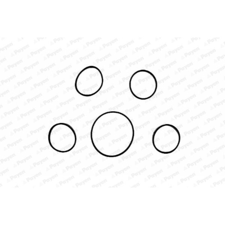 Set garnituri, galerie admisie PAYEN HA5005