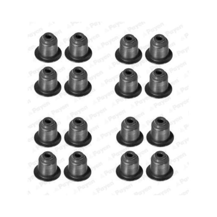 Set etansari, tija supapa PAYEN HR5045