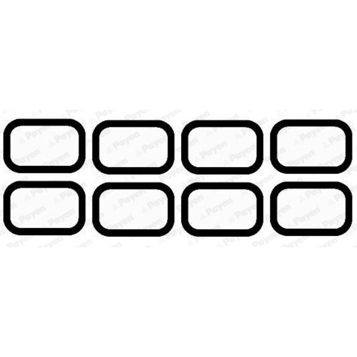 Set garnituri, galerie admisie PAYEN HA5020