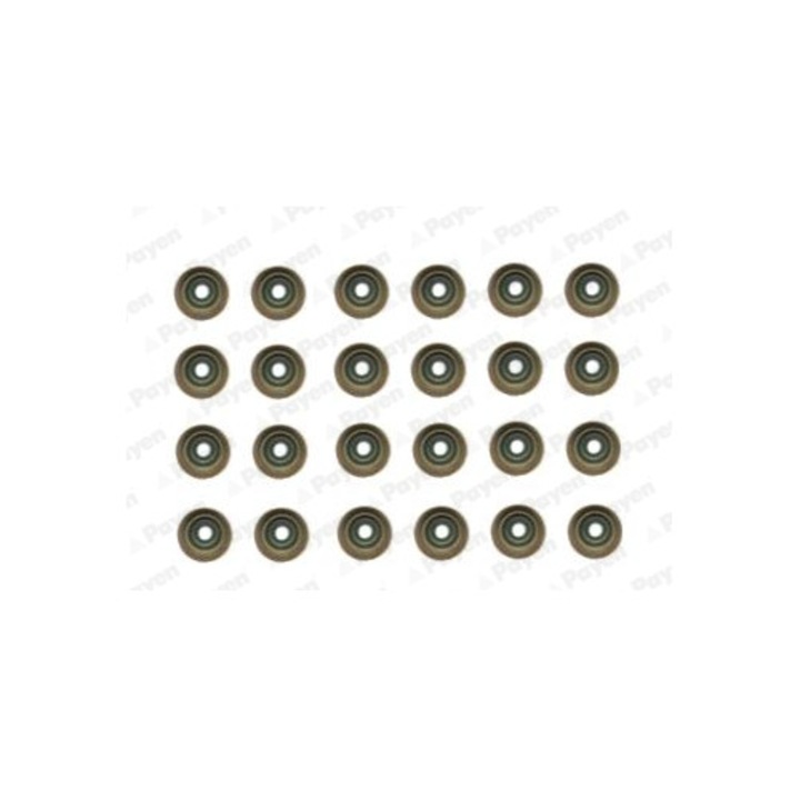 Set etansare, tija supapei PAYEN HR5121