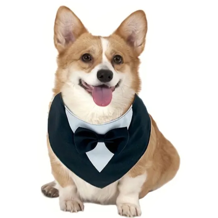 Esarfa animale de companie, accesorii pentru nunta, papion pentru catel, circumferinta gat 36 cm (S)