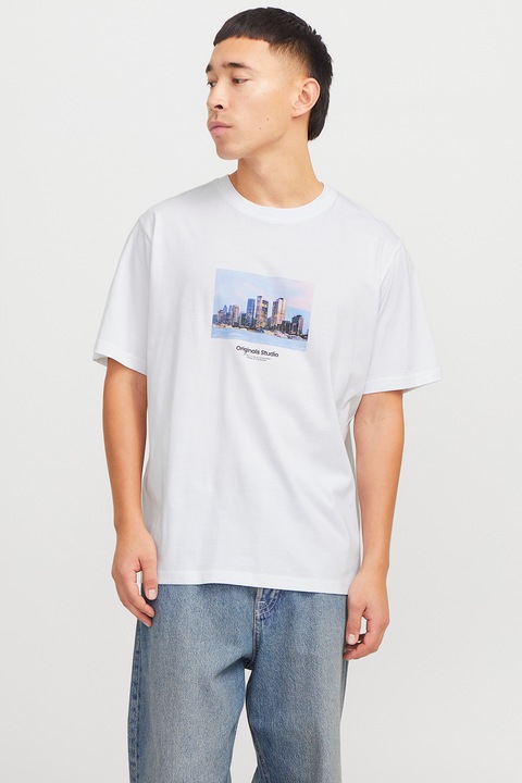 Jack & Jones, Tricou relaxed fit de bumbac cu imprimeu, Alb/Albastru deschis