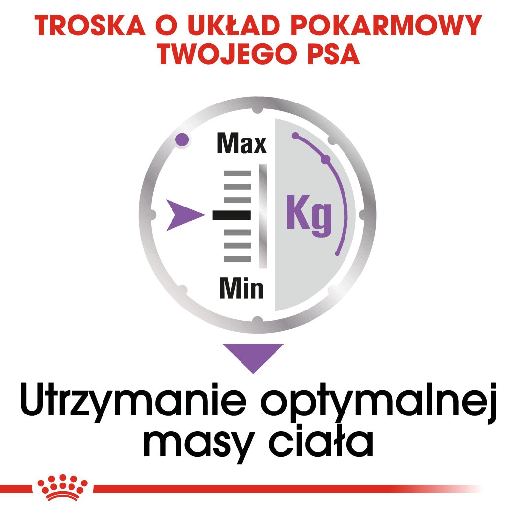 Royal Canin Sterilised Set 24x85g, hrana umeda pentru caini adulti