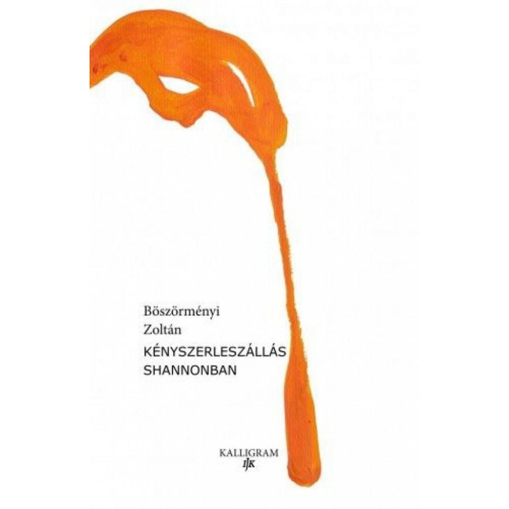 Böszörményi Zoltán: Kényszerleszállás Shannonban