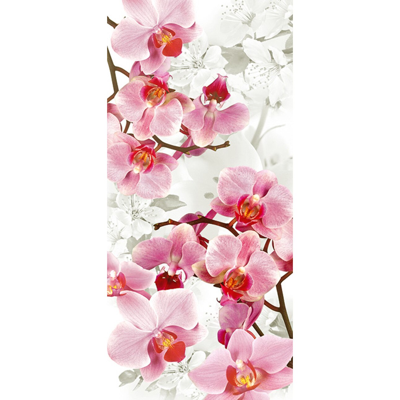 Fototapet DEGRETS 06-51 Orhidee 207x096cm