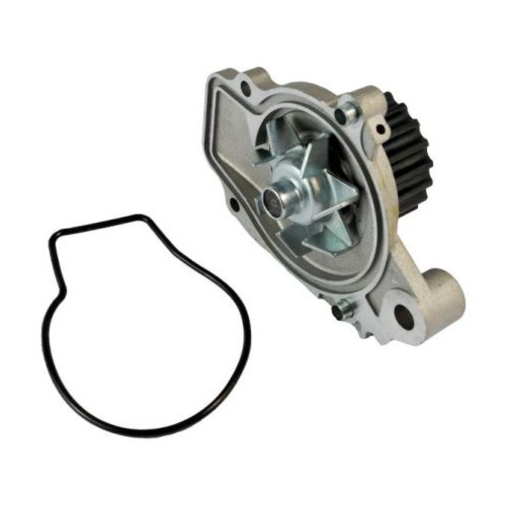 Vízpumpa THERMOTEC D14019TT, 19 fogú