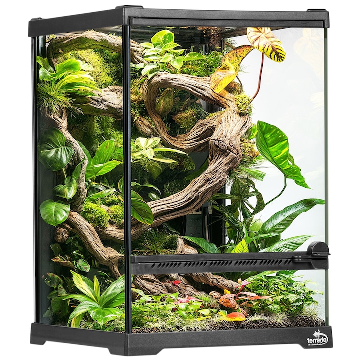 Terrarium, Terrario Oasis Verde 5, de sticla, tropicale sau desertice, 20x20x30cm