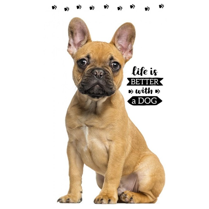 Детска кърпа за баня, Carbotex, 30x50см, 100% памук, абсорбираща, многоцветна