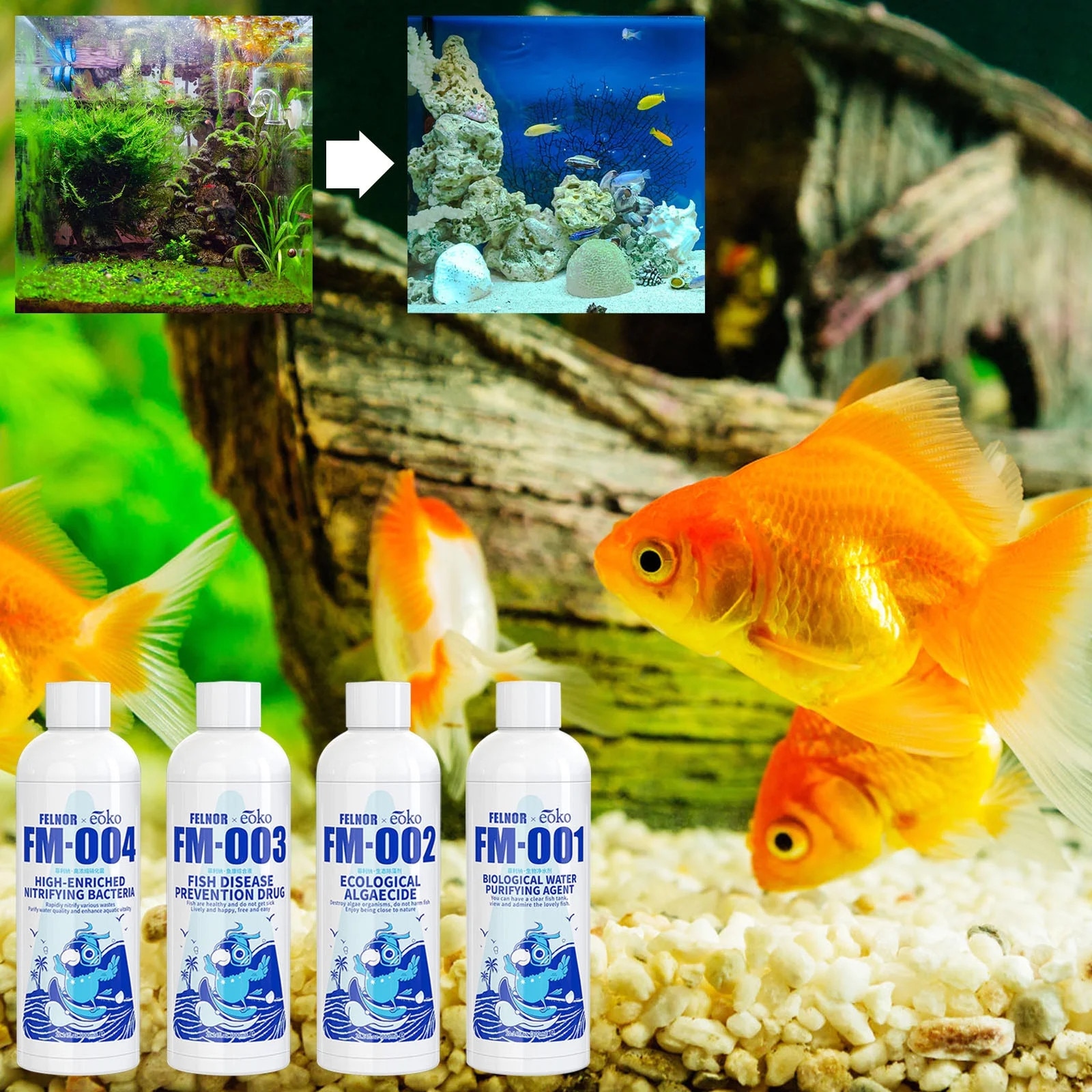 Purificator apa acvariu Fokelyi 300ml tratament alge