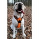 Ham pentru caini Truelove Front Line, L, portocalii, 64x80cm, cu doua puncte de prindere, reglabile