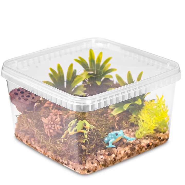 terrarium, Terrario, ReptiBox, faunárium, műanyag, átlátszó, 19x19x12cm