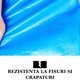 Prelata Premium Gardeon® Din Polietilena, Laminata Pe Ambele Parti, Impermeabila, Protectie UV, Colturi Intarite, Inele De Prindere Metalice, 6 x 8 Metri, Albastru