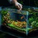 Ракета и чистачка за аквариум, Kruger Meier AquaMate Hydra V, 5 в 1