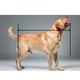 Culcus personalizat pentru caini Dogs4life Shell, impermeabil, negru, 75x65cm, set cu 2 pernute
