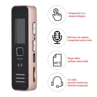 Reportofon digital, XY05, difuzor, MP3 Player, memorie 16GB, autonomie 20 ore, capacitate inregistrare 192 ore, auriu