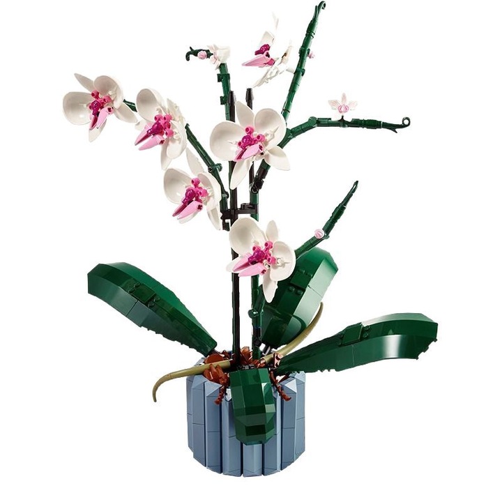 Botanikus Orchidea - Mesterséges Beltéri Virágépítő Készlet Otthonra, Konyhába, Asztal Dekorációhoz, 18 Éven Túli Felnőttek Számára Alkalmas - Anyák Napi Ajándék
