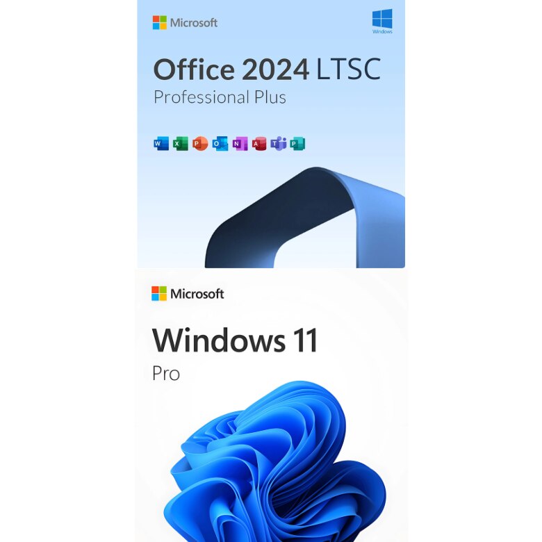 Licenta Windows 11 Pro si Office 2024 LTSC Pro Plus, USB, Limba
