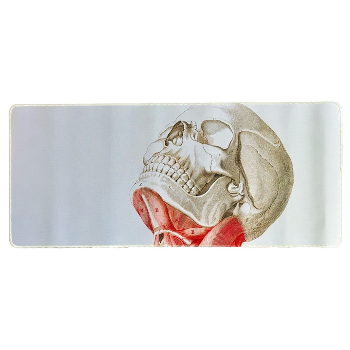Mousepad format deskmat "Craniu Anatomic", 70x30x0.3cm, Baza Anti-Alunecare, Suprafata Neteda, Velico®