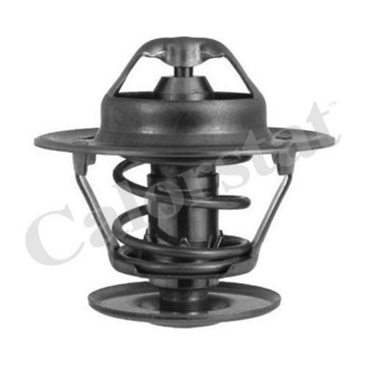 Termosztát, hűtőfolyadék CALORSTAT by Vernet TH1335.87J