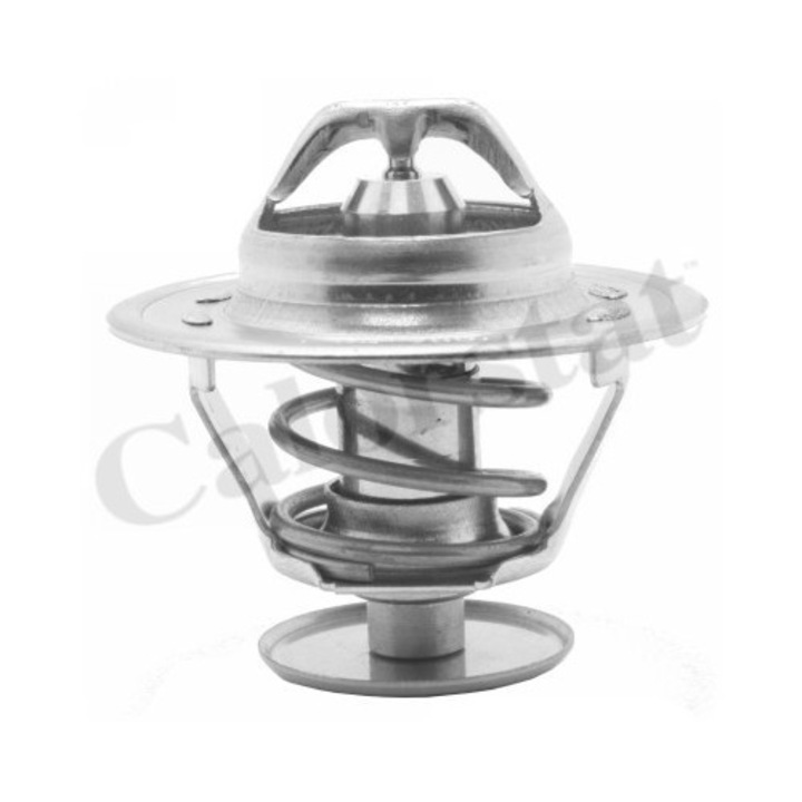 Termosztát, hűtőfolyadék CALORSTAT by Vernet TH1515.81J