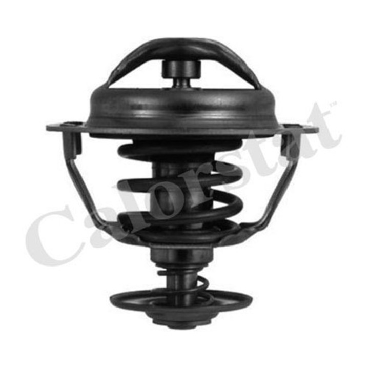 Termosztát, hűtőfolyadék CALORSTAT by Vernet TH5446.83J