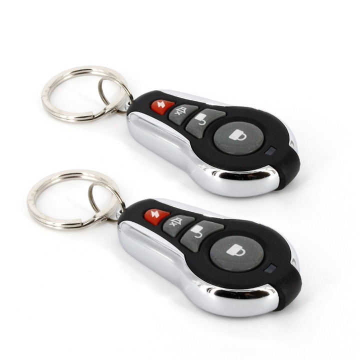 Központi zár, Távirányítóval, Briggs