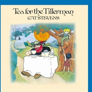 Vinyl-uri si cd-uri muzica