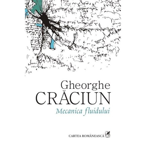 Mecanica fluidului - Gheorghe Craciun