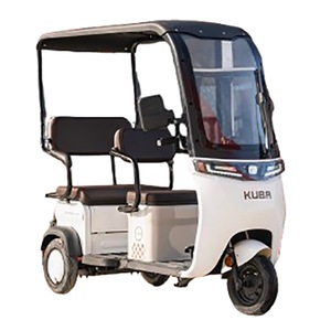 Alte vehicule electrice