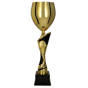 Cupe, trofee si medalii